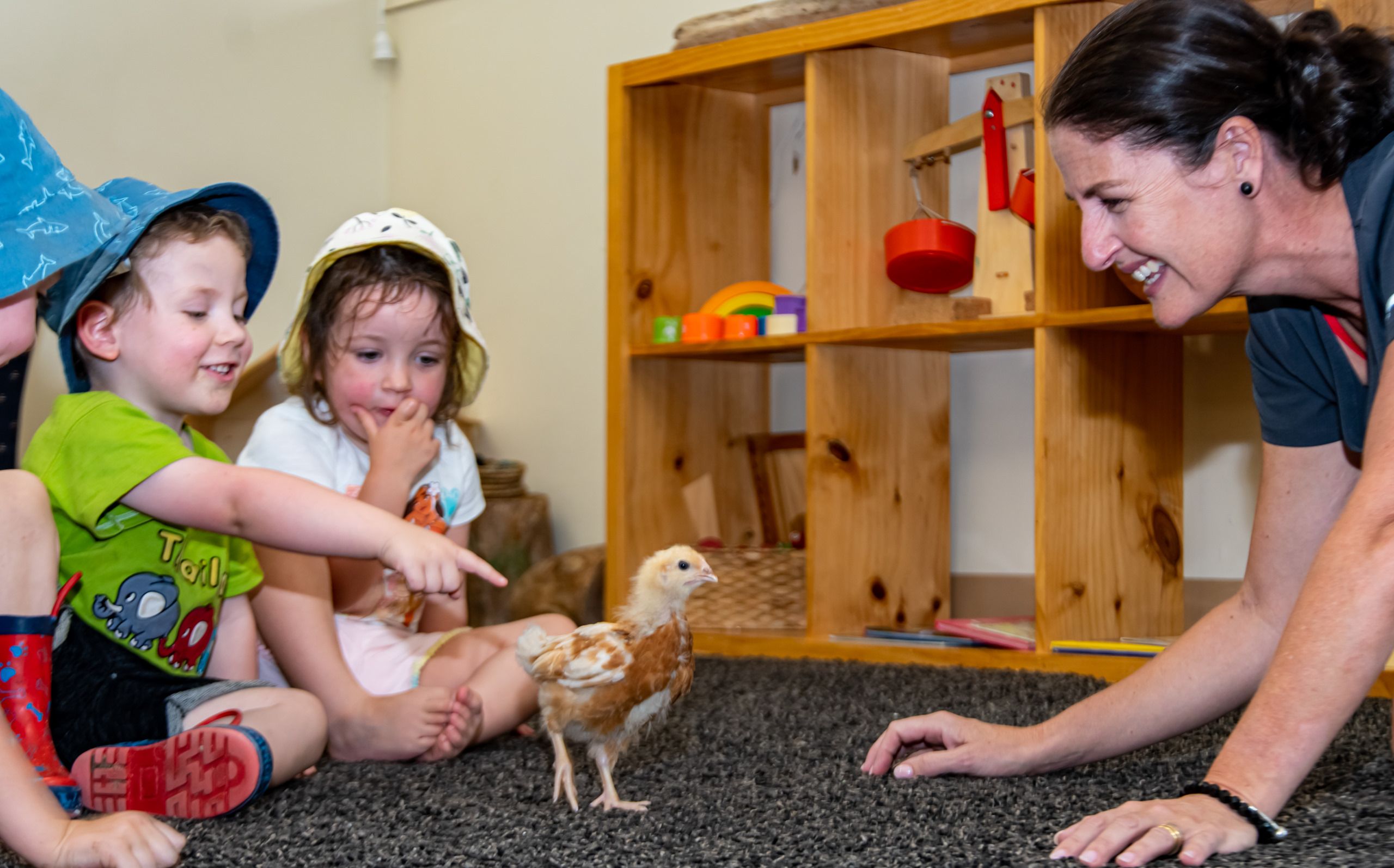 Kids and educator looking at a chick